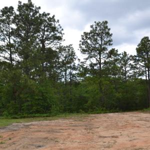 Old Barnwell Rd (35)