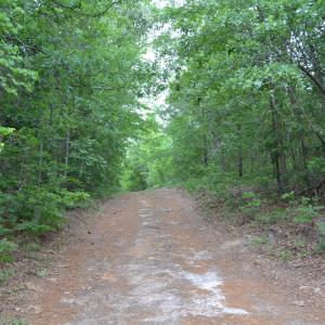 Old Barnwell Rd (44)