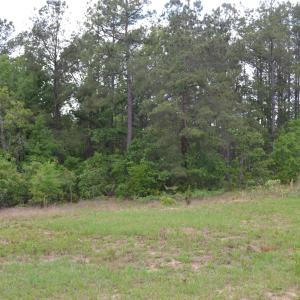 Old Barnwell Rd (41)
