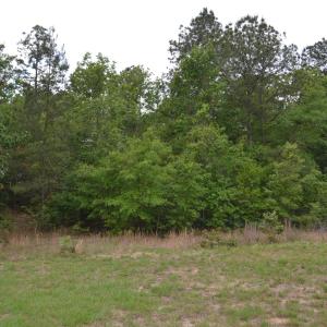 Old Barnwell Rd (17)