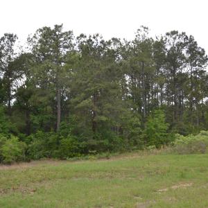 Old Barnwell Rd (19)
