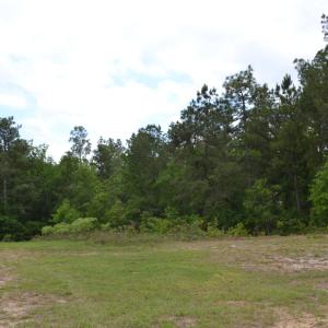 Old Barnwell Rd (36)