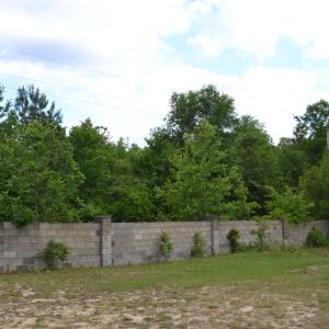 Old Barnwell Rd (22)