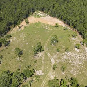 19_dji_20260516104007_0229_d-edit
