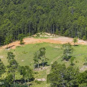 15_dji_20260516103812_0225_d