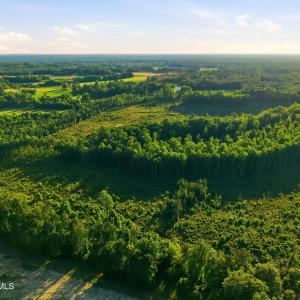 Photo #8 of 2025 Vass Carthage, Carthage, NC 92.9 acres