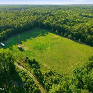 Photo #5 of 2025 Vass Carthage, Carthage, NC 92.9 acres
