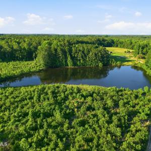 Photo #3 of 2025 Vass Carthage, Carthage, NC 92.9 acres