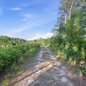 Photo #10 of 2025 Vass Carthage, Carthage, NC 92.9 acres