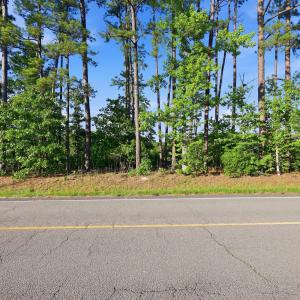 Photo #11 of 2025 Vass Carthage, Carthage, NC 92.9 acres