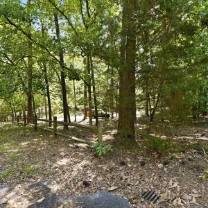 15-web-or-mls-DSC08496