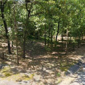 4-web-or-mls-DJI_20260516105706_0377_D