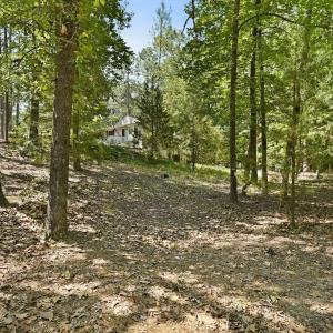 14-web-or-mls-DSC08494
