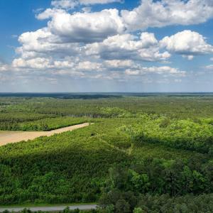 1680GeorgeIIHwy-43_