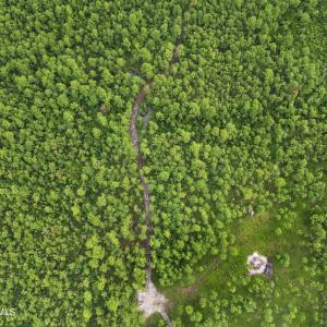 DJI_0555