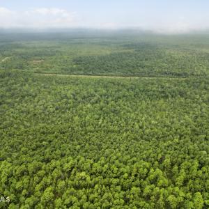 DJI_0561