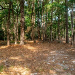 1837harboredge-5