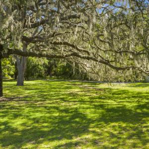 oyster_harbor (12)