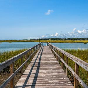 oyster_harbor (22)
