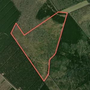 aerial
