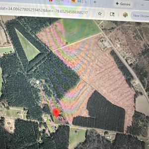 Photo #10 of Near 594 Big Cypress, Nakina, NC 12.8 acres
