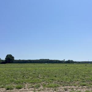Photo #2 of Tbd Highway, Camden, NC 10.0 acres