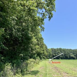 Photo #4 of Tbd Highway, Camden, NC 10.0 acres