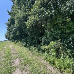 Photo #3 of Tbd Highway, Camden, NC 10.0 acres