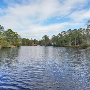 RiverRunPlantation-12