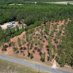 Beautiful 8.42-acres in Bladin Co!