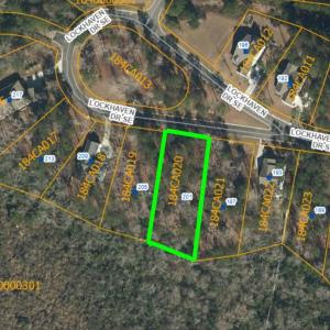 GIS SHOT - 201 Lockhaven
