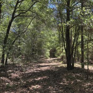 part of pathway