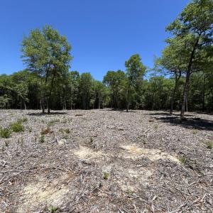 Cleared 1 Acre area