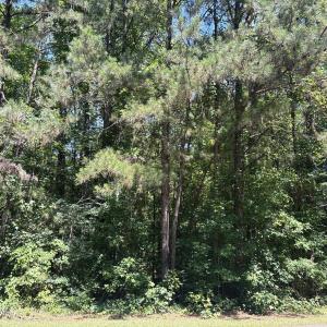 Photo #4 of Lot 10 Bereau, McCormick, SC 1.0 acres