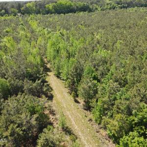 DJI_0234
