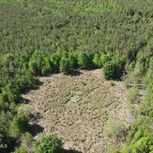 DJI_0231