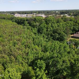 DJI_0225