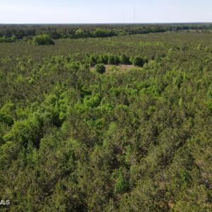 DJI_0230