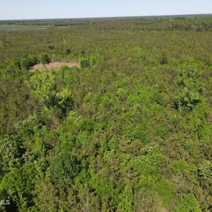 DJI_0227
