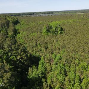 DJI_0224
