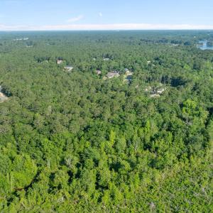 DJI_0361