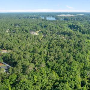 DJI_0356