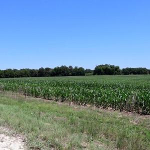 IMG_0200