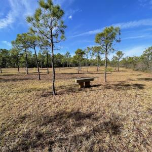Photo #11 of 3678 Holly Harbor, Southport, NC 1.1 acres