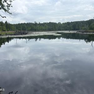 Pond View