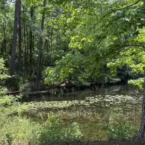 979 Aiken Rd 5