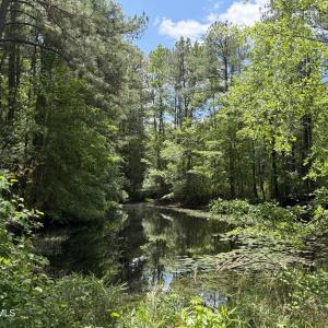 979 Aiken Rd 4
