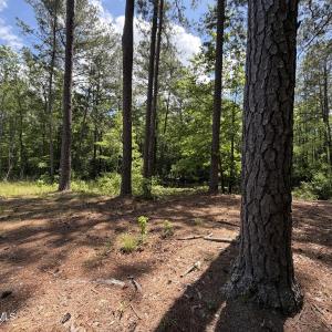 979 Aiken Rd 13