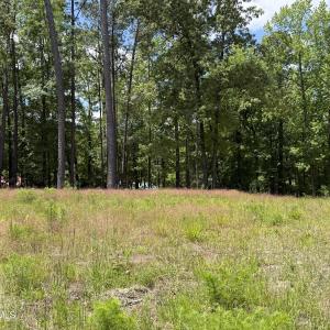 979 Aiken Rd 15