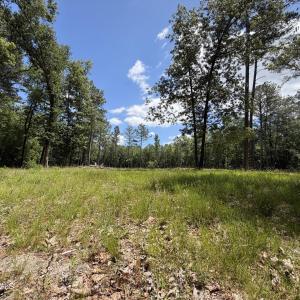 979 Aiken Rd 10
